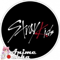 A_BDG_Stray Kids 0001 Значок